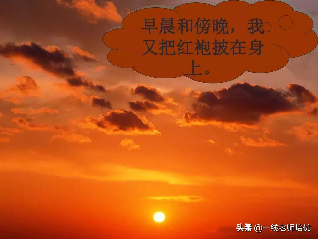 部编版二年级上册第二单元知识点,二年级语文上册我是什么知识点