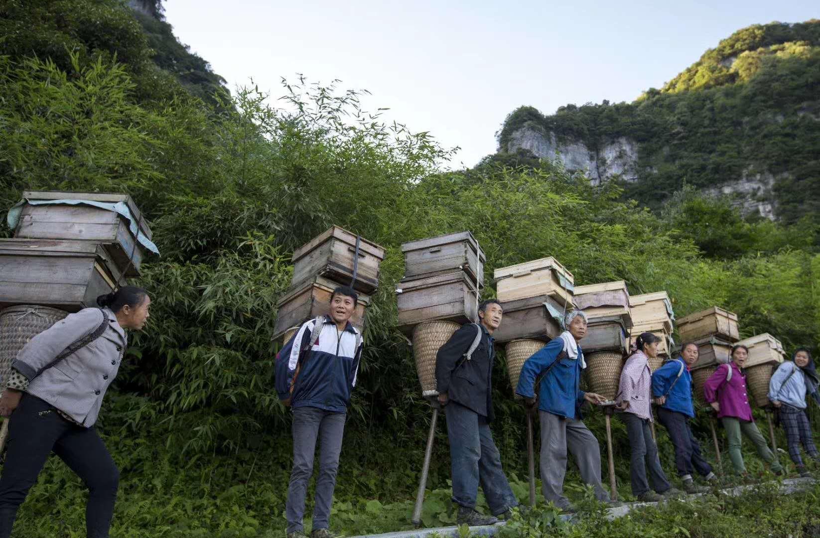 重庆之旅怎么样,重庆避暑5日游攻略从南川开始