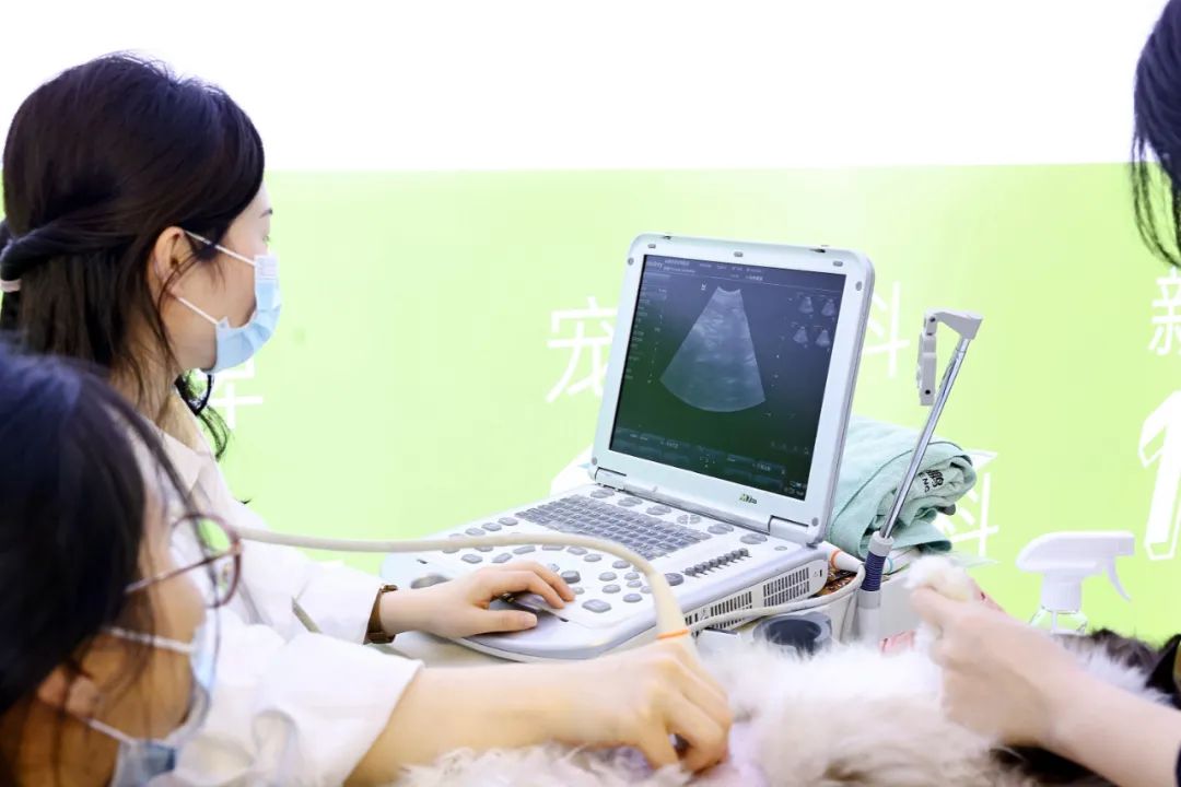 重庆宠博会2024年时间表,第二届天一重庆国际宠博会