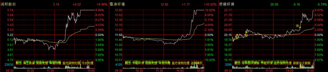 总龙头断板跌停当天,板块龙头暴跌涨停潮