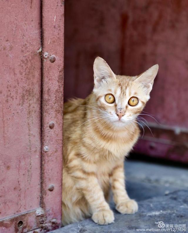 历史上洛阳东关大石桥照片,洛阳历史文化景点24小时打卡