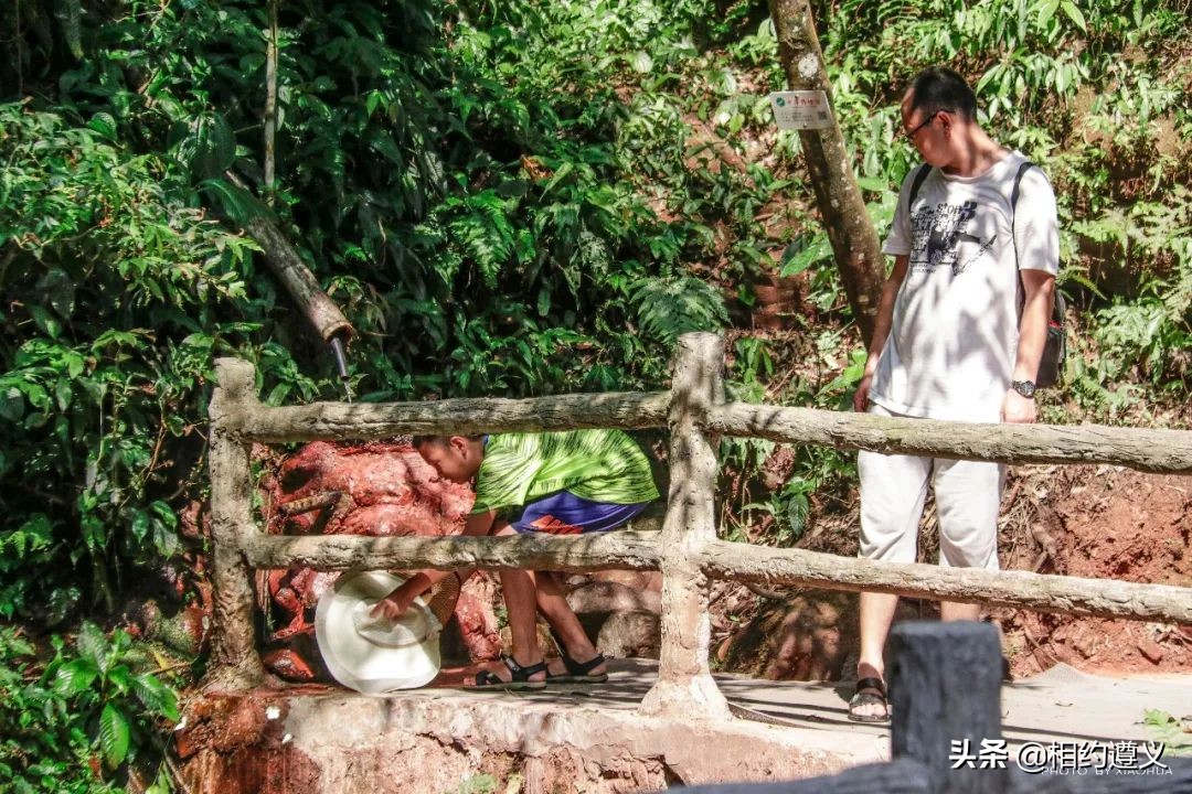 赤水大瀑布 侏罗纪公园 (世界唯一保留的侏罗纪原始公园)