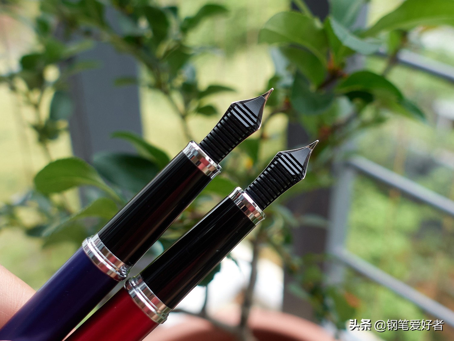 写乐钢笔14k粗细,写乐钢笔14k笔尖值多少钱