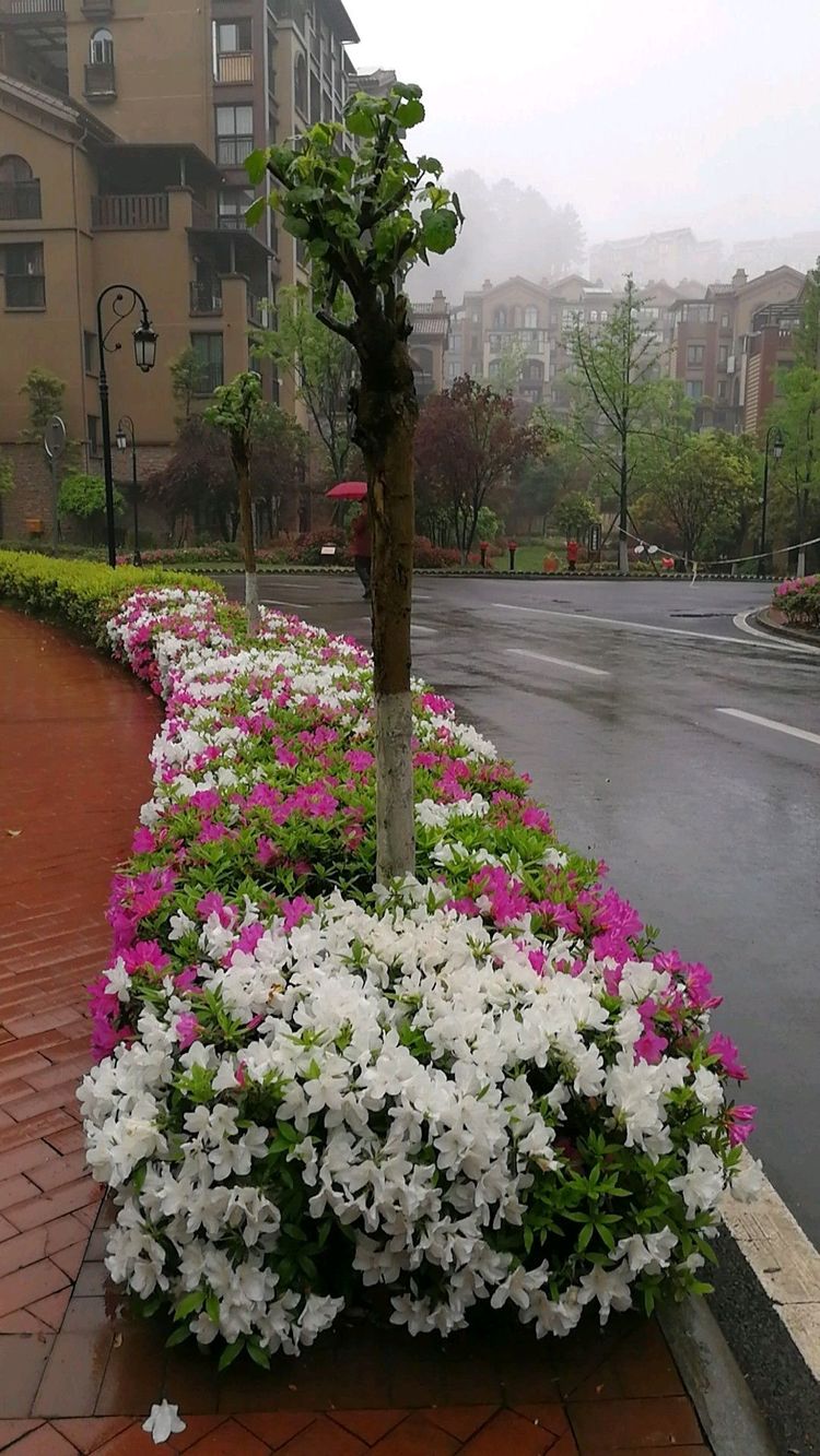 重庆人去哪里避暑最合适,重庆人适合出去避暑地方推荐