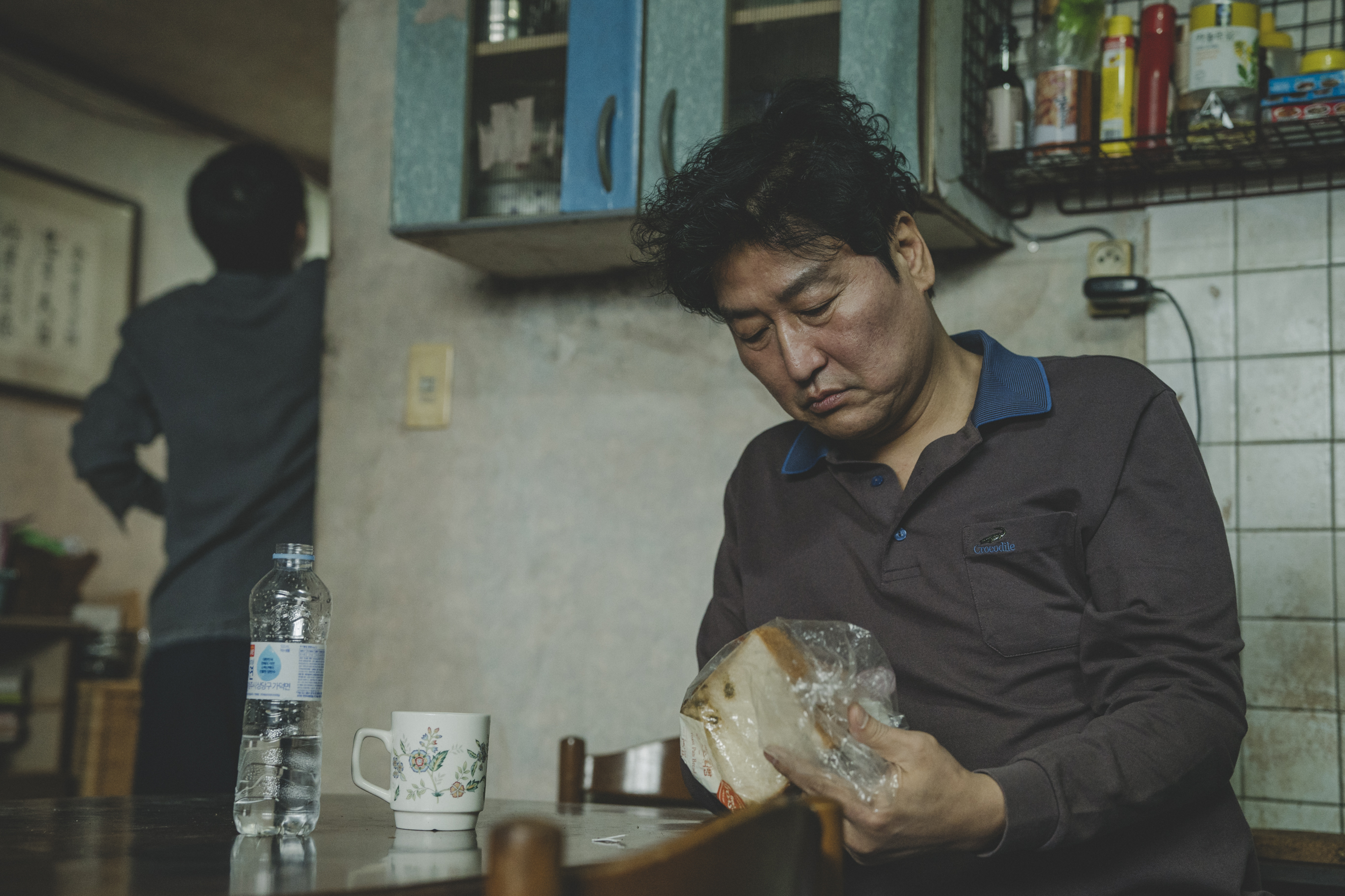 电影《寄生虫》深度解析,寄生虫电影中的空间设计