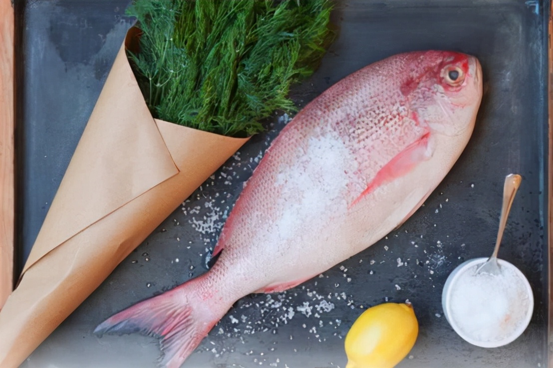 野生河豚食品安全吗,日本推出基因编辑河豚