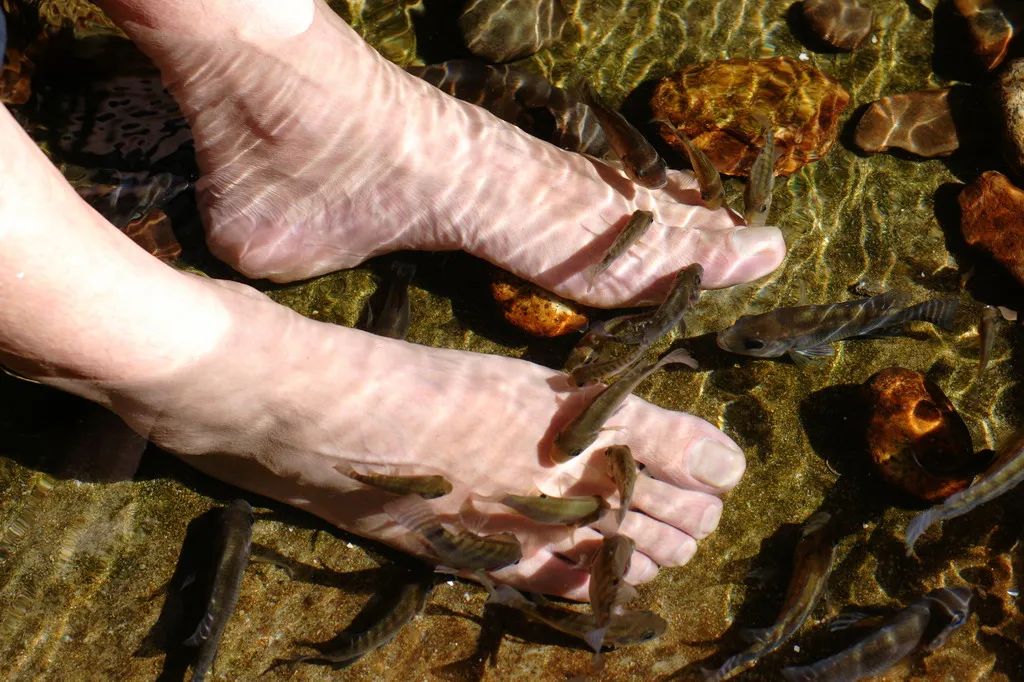 木格措旅游冬季攻略,木格措7月1日免门票否