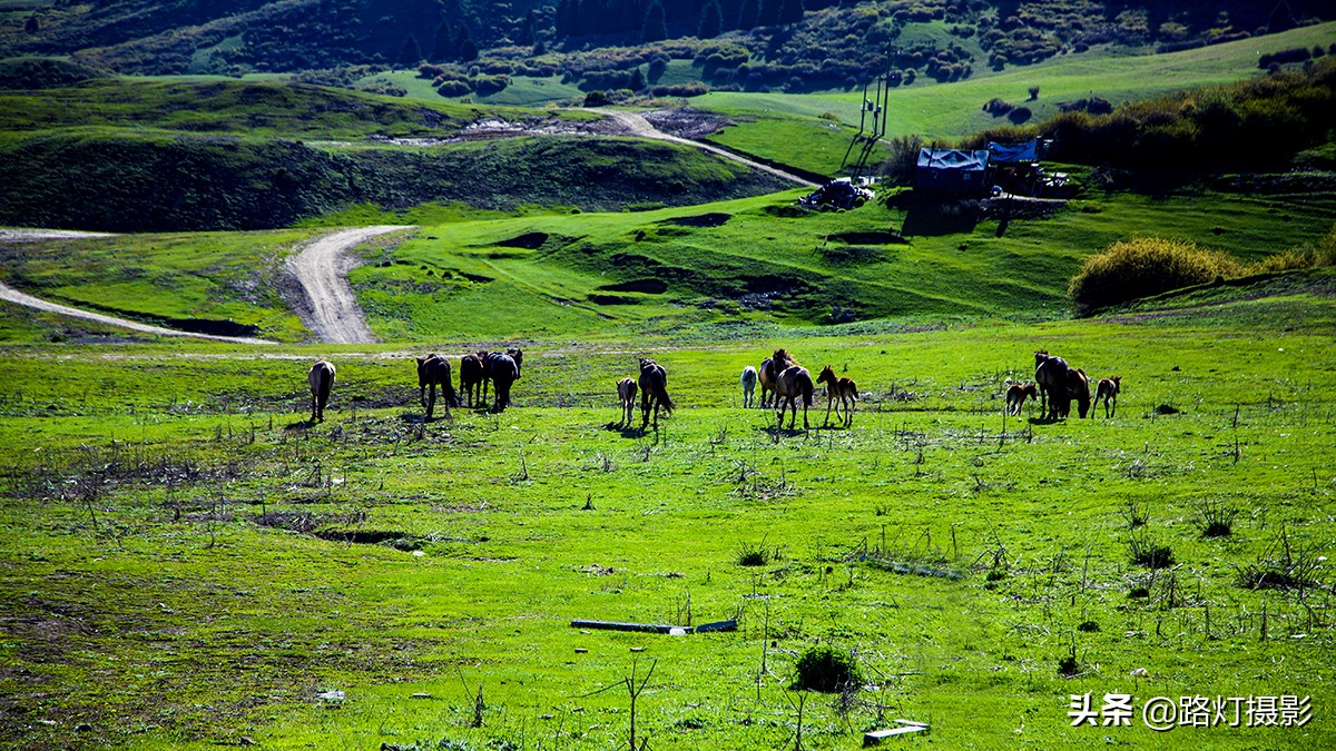 中国最适合自驾游的十大旅游胜地,夏季最适合自驾旅游的地方