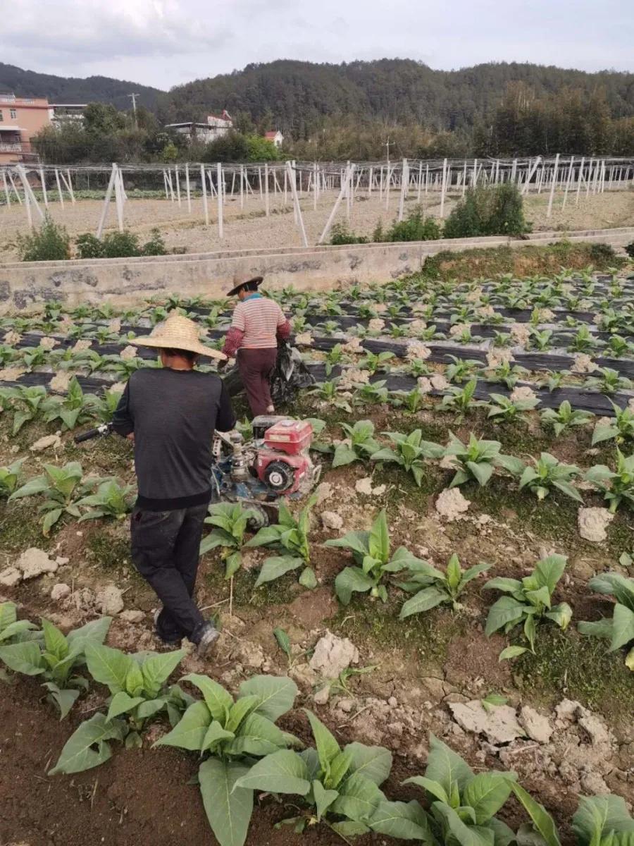 吹响春耕备耕集结号,春耕在希望的田里