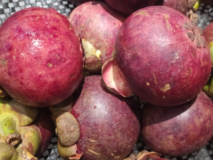 吃山竹注意事项有哪些,吃山竹的朋友们看过来