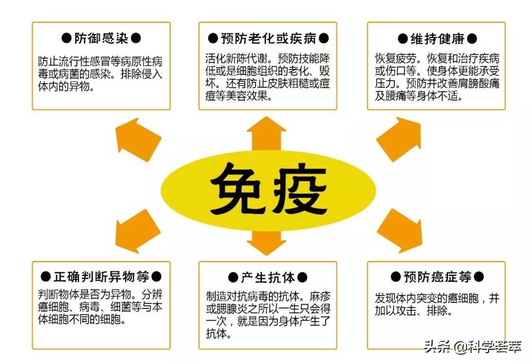 风力发电的对生态的危害,风力发电污染环境的危害