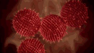 发烧咳嗽流鼻涕是肺炎支原体,发烧感冒咳嗽流鼻涕是甲流吗