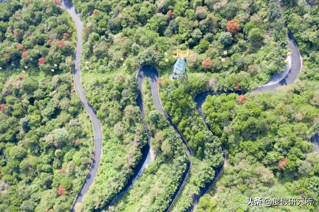 端午节去哪玩合适广州,端午广州三天游玩攻略