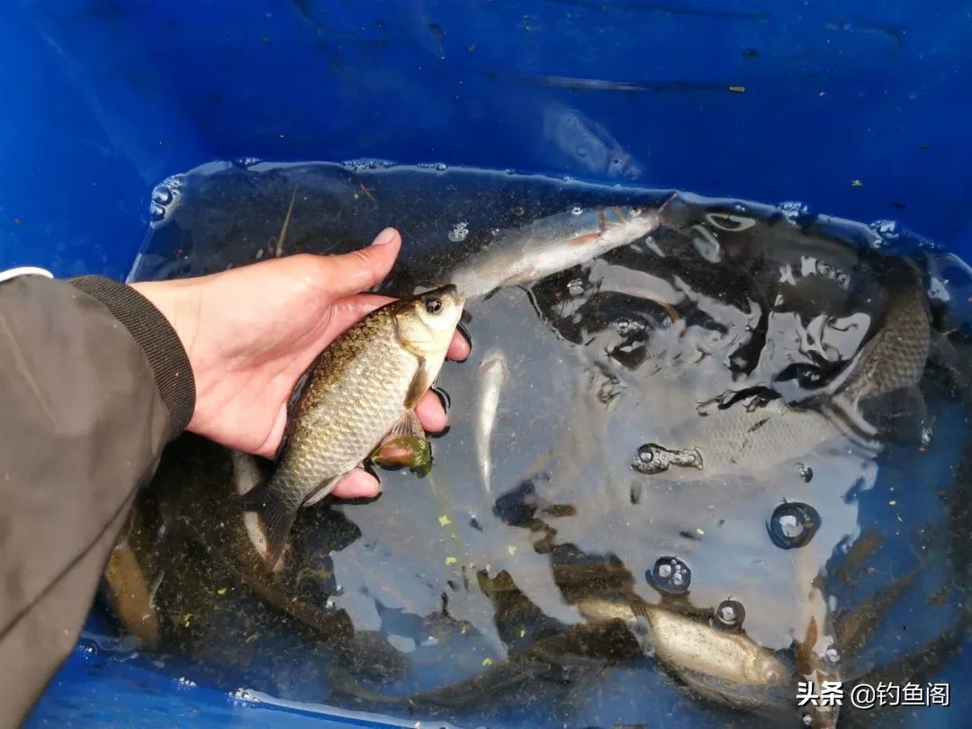 二三十米的水库怎么钓鱼,水库高水位怎么钓鱼最好