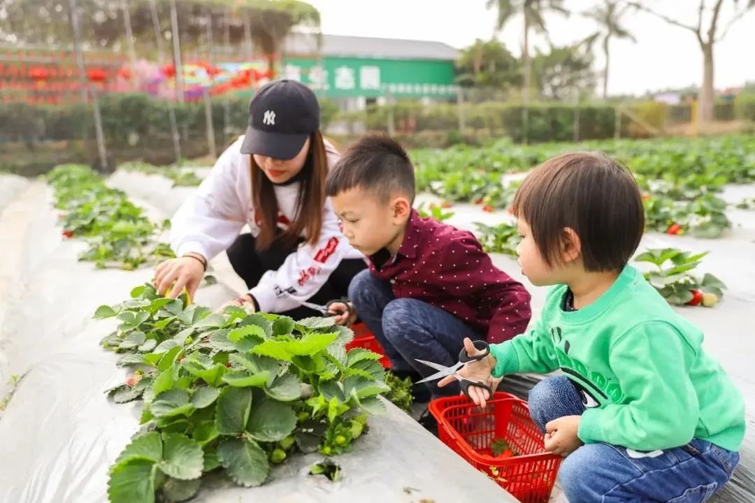 佛山市景区全免费开放,佛山南海多个场馆恢复开放