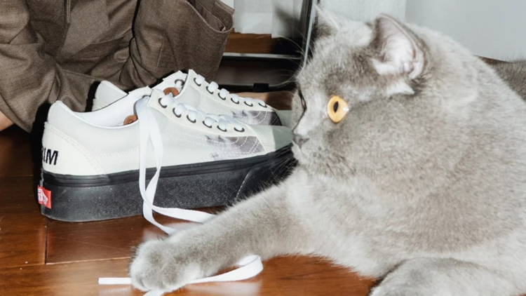 跟着抖音时尚穿搭博主学了一下,跟着博主打卡