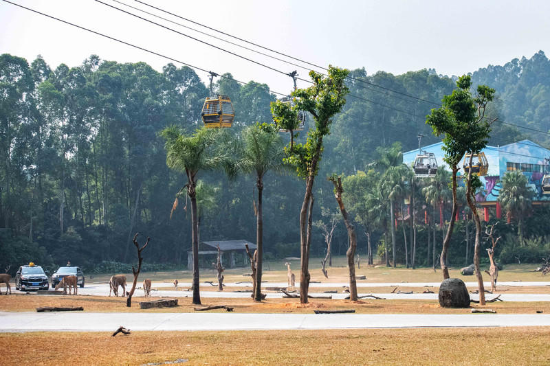 广州长隆野生动物世界旅游攻略,长隆野生动物世界攻略2-3天广州游