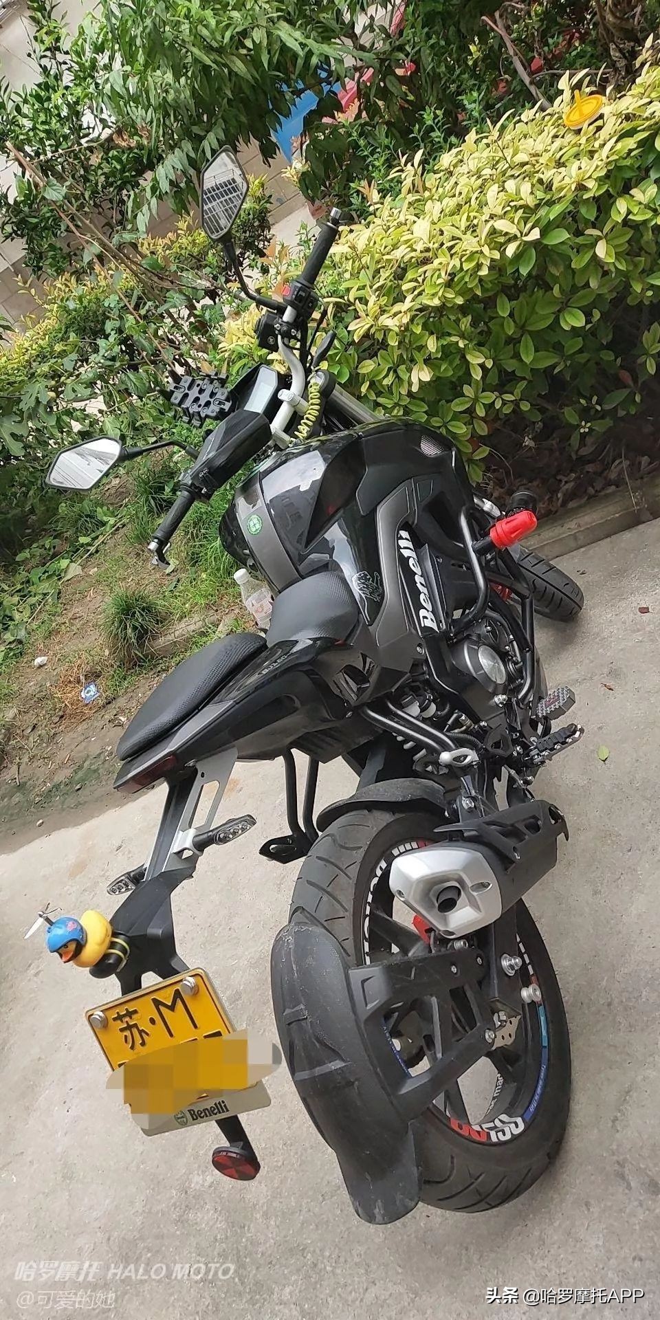 2022款贝纳利小迅龙bn150s车灯,贝纳利小迅龙150s值得买么