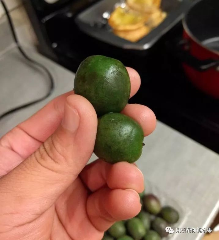 中国哪些水果在美国买不到？美国又有哪些水果中国没有？