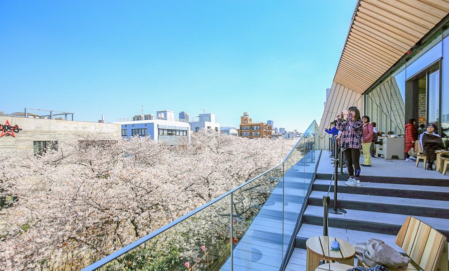 东京｜堪比艺术馆的星巴克臻选®烘培工坊樱花海中品满分咖啡