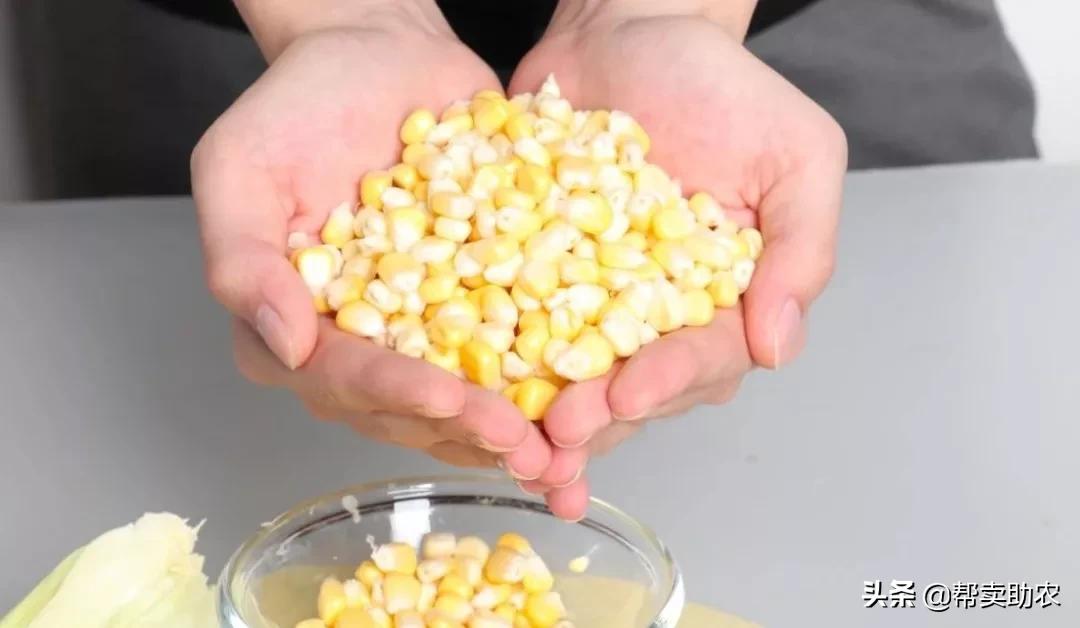 爆浆糖心水果玉米,如何挑爆汁甜的水果玉米