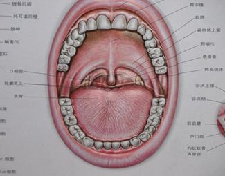 鼻腔发声的训练,矫正喉发声训练