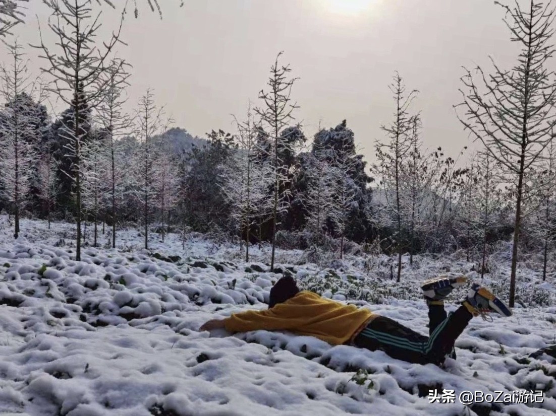 南充市凤凰故垒景区有哪些景点,四川南充旅游攻略景点大全