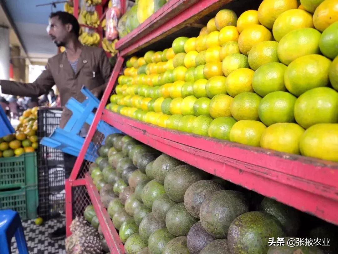 牛油果健康是噱头吗,牛油果健康骗局是怎么回事