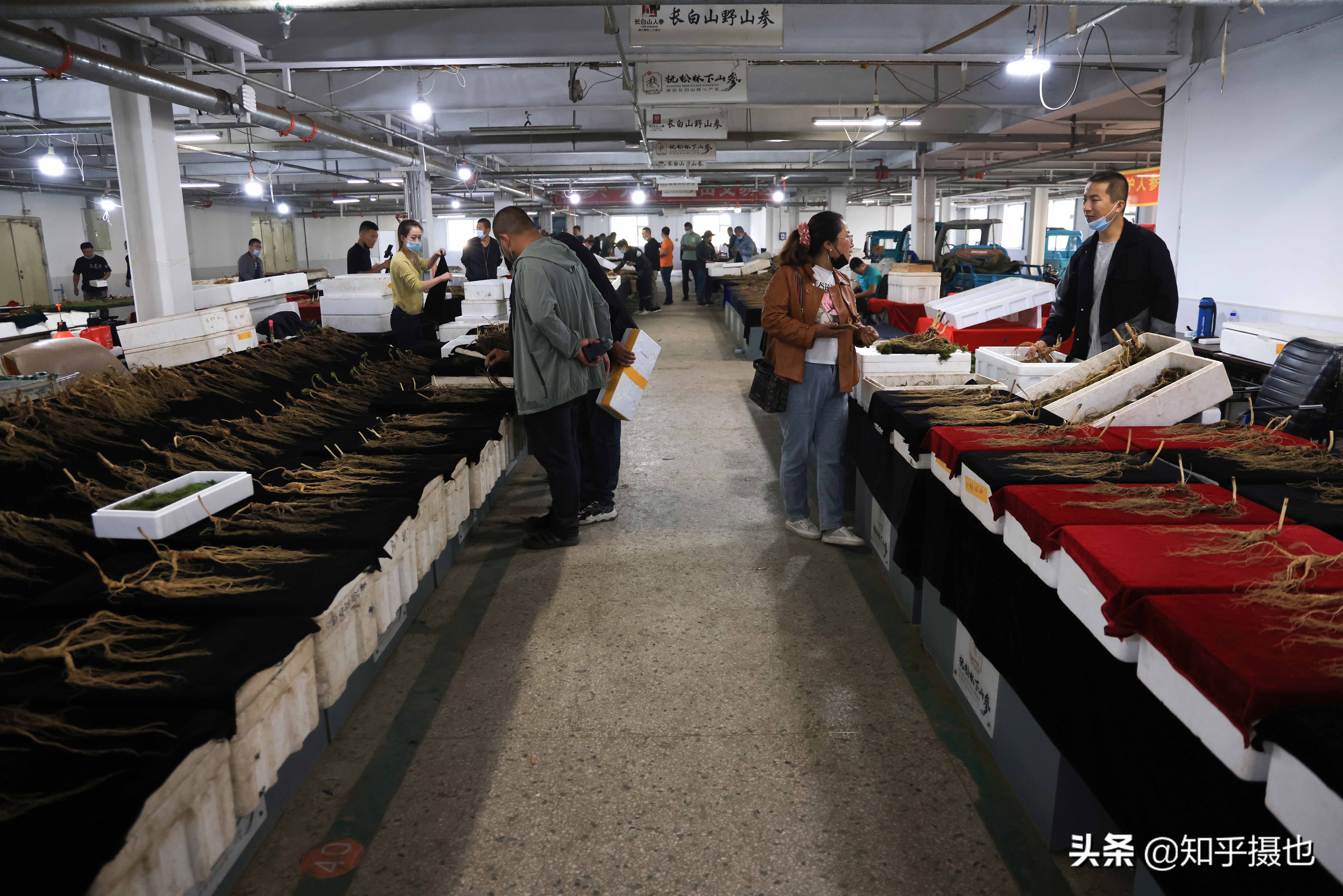 吉林有几个人参交易市场,吉林人参交易市场视频