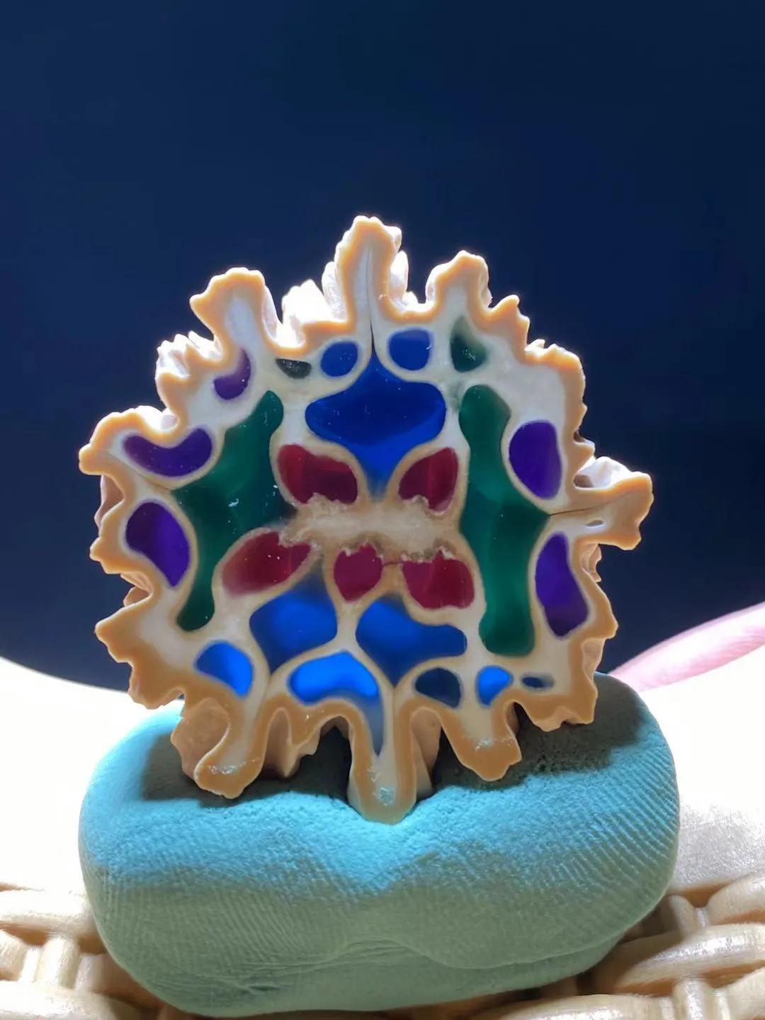 高档核桃核,核桃核精品