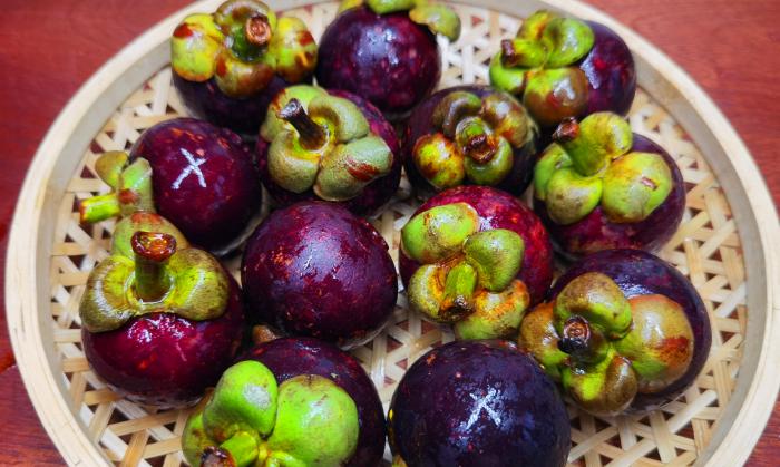 山竹挑选小技巧,山竹的挑母方法