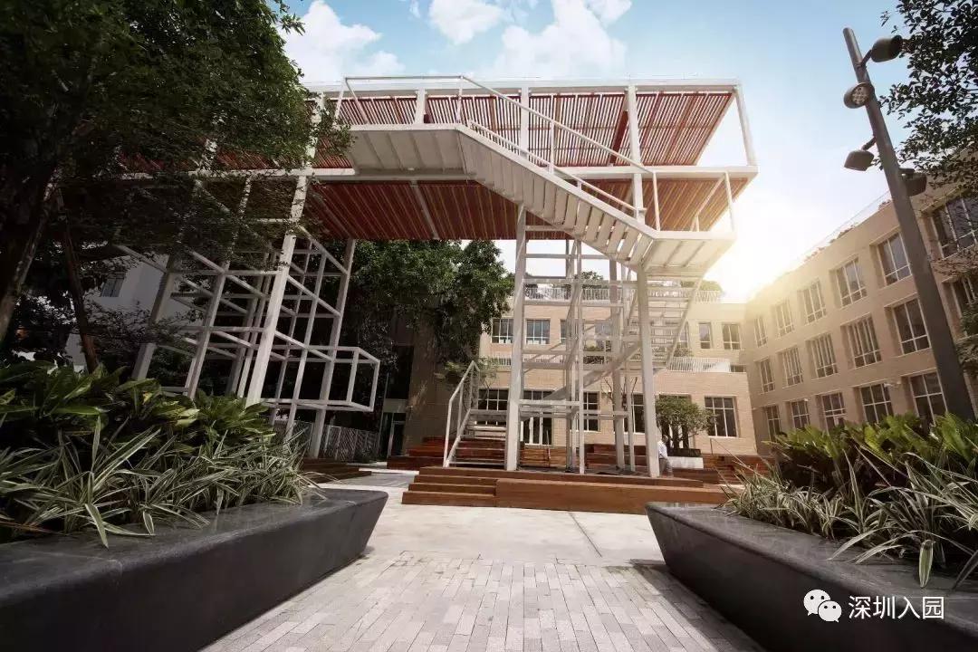 年薪50万以下不要上的幼儿园,深圳公立幼儿园有小小班吗