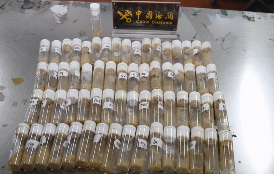 水果里面有虫子吃了会变寄生虫吗,水果虫子是寄生虫吗