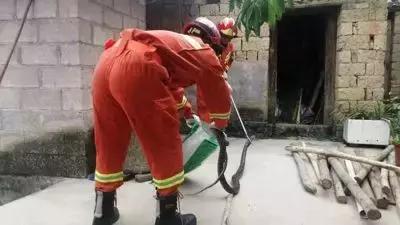 Battle|盘它！胆小勿入！