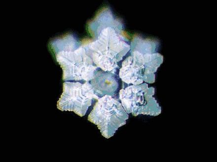 超过2元的水都是智商税吗,2万元的滤水壶是智商税吗