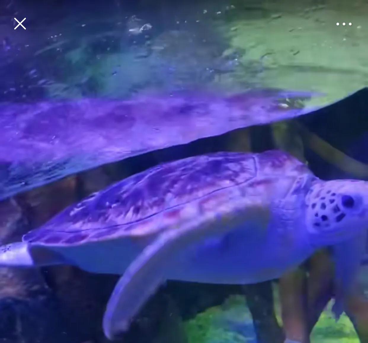 深圳十大暑假室内必去景点,深圳暑假值得带孩子旅游的地方