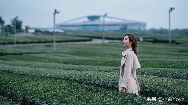 济州岛最值得去的地方,来济州岛第一天去哪玩