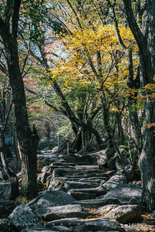 韩国旅游不可错过的景点,韩国不能错过的3部电影
