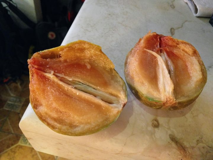 世界上有哪些常见的热带水果,欧洲奇特的水果