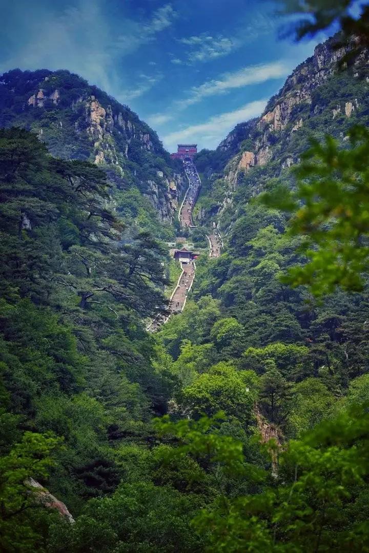 最新山东正在招商的景区,山东免门票的景区都有哪些