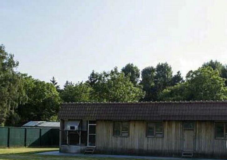 波治先生？吉诺.克里克，中距离赛事专家