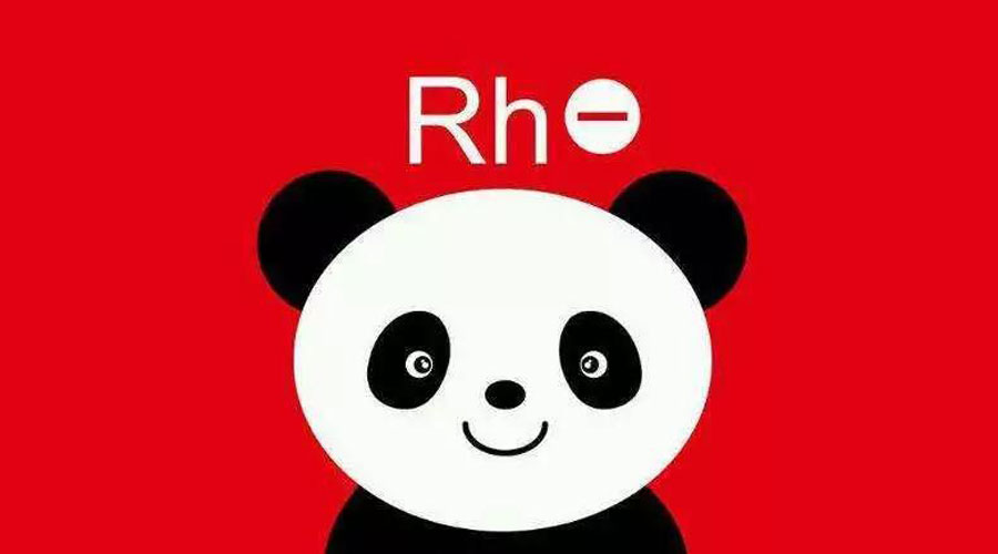 rh阴性熊猫血跟什么血型才能怀孕,rh阴性熊猫血能生几胎