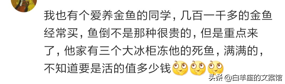 我们小区人花了几千买了条金鱼，需要空运，第二天早上开车去接机
