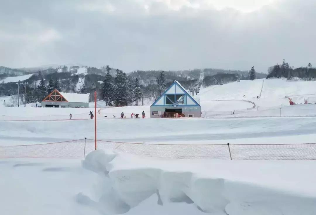 中国雪乡vs日本北海道雪景,日本北海道和东部雪乡哪个好