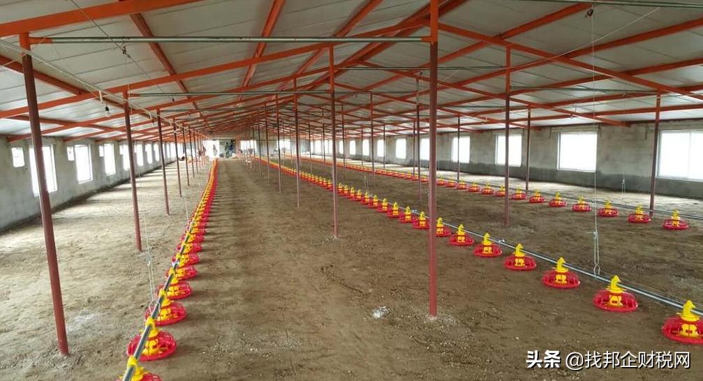 国家政策扶持农村创业项目,农村创业国家扶持项目小作坊