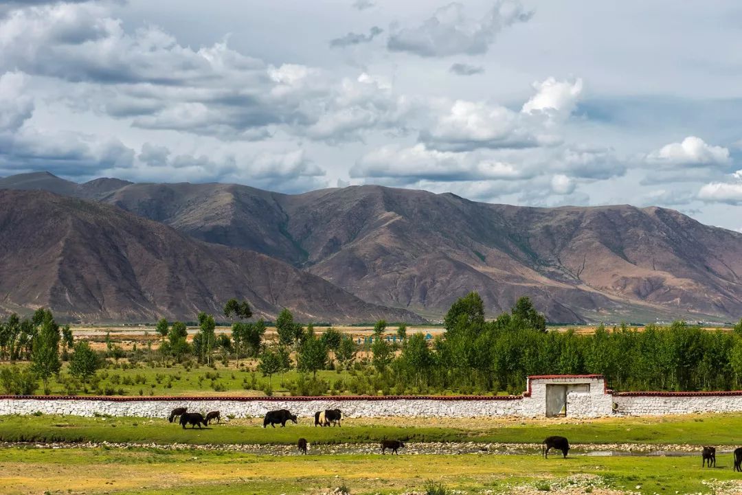 有一种风情叫江南烟雨,波密塞外江南