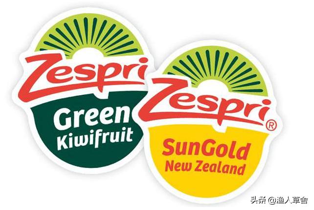 新西兰进口奇异果猕猴桃,猕猴桃新西兰进口