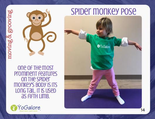 卡尔和爷爷,瑜伽卡和健身卡哪个好