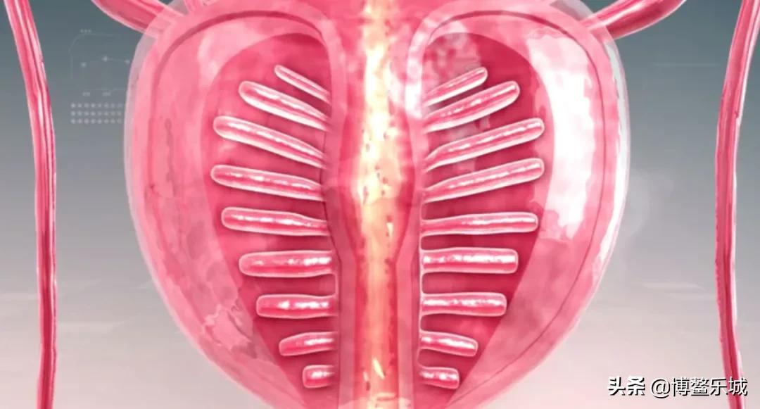 热疗消融治疗前列腺增生的优缺点,前列腺增生热疗消融手术靠谱吗