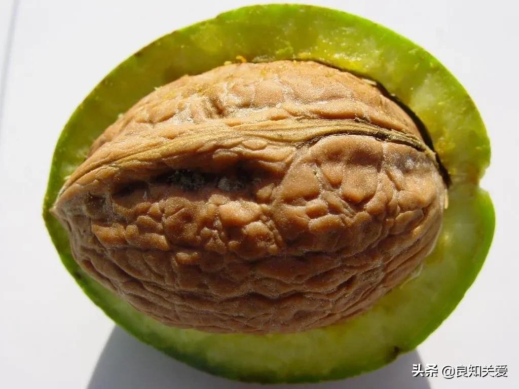 哪几种坚果对心脏健脑有好处,哪些坚果抗癌防血栓